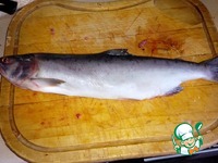 ������� ������� ���� �� 40 ����� �����������