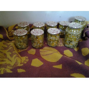 ���������� �� ���� "�������"