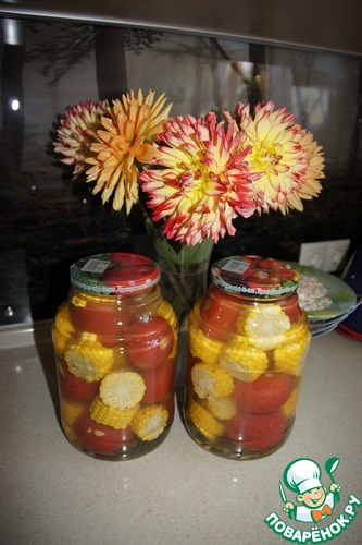 "���������������� �������� � ���������" ��  ���������