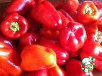 ������ �� ������� �� �������� �����������