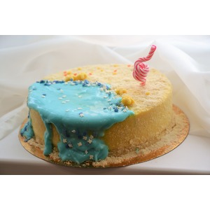 ���� "���������"