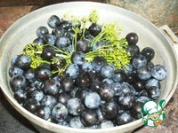 ���� �� ����� �� ���� �����������