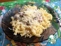 ����� � ������ �����������