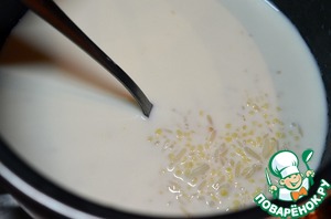 Каша дружба