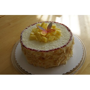 ���� "��������� ����"