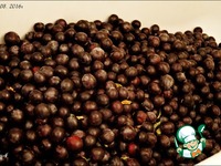 ������� � ����������� ��� ������ �����������