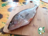 ������ ������� �����������