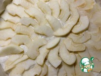 �������-������� ����� �����������