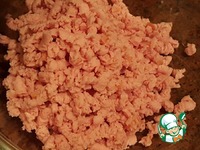 ������ "����������" �����������-��������� �����������