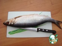 ������� �� ������ �����������