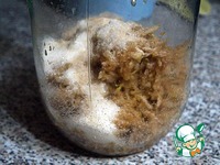 ���� �������� �����������