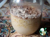 ���� �������� �����������