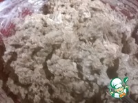 ������ ������ �����������