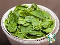 �������� ����� �� �������� � �������� �����������