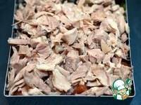 ����� "��������" �����������