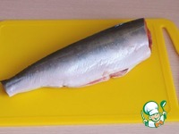 �����, ������������� ���������� � ����� �����������