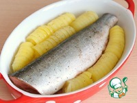 ����� � ����� ����� � ���������� �����������