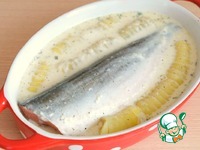 ����� � ����� ����� � ���������� �����������