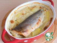 ����� � ����� ����� � ���������� �����������