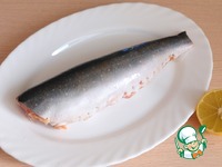 �����, ������������� ���������� � ����� �����������