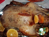 ���� � ����������� �����������