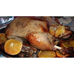 ���� � �����������