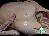 ���� � ����������� �����������