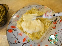 ����� ������ � ����� �����������