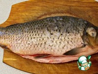 ���� "�����" �����������