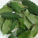 �������� ����