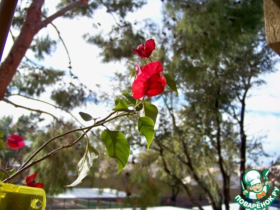 ����� �� ��� ������� � �� ������