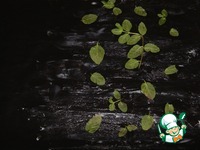 ������ ��������� ����� �����������