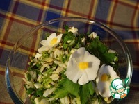 ����� � ���������� � ����� �����������