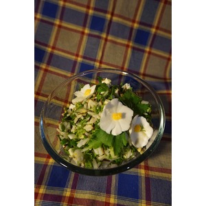 ����� � ���������� � �����