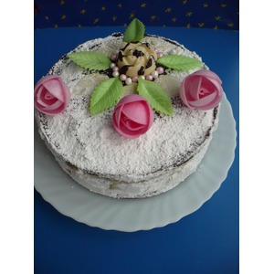 ���� "�������������� ��������"