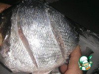 ���������� � ������� ���� �����������