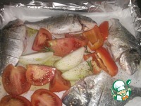 ���������� � ������� ���� �����������