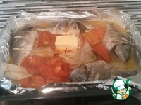 ���������� � ������� ���� �����������