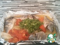 ���������� � ������� ���� �����������