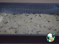 ����� "����������" �����������