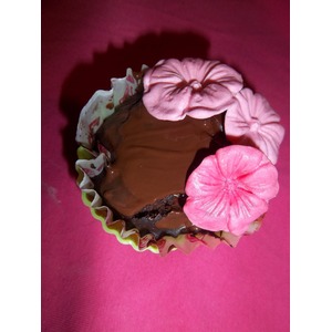 ������ ���������-������ �����