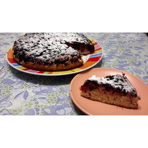 ����������������� �����