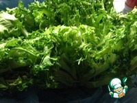 ����� �� �������� �����������