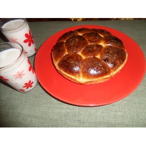 ������� "�������" �� ������ ����