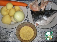 ���-���� �� ���� �����������