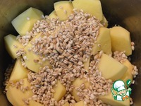 ����������� �����������