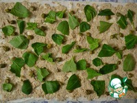 ����� �� ������ � ���������������� ������� �����������