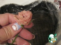 ���� "������ ������" �� ������� ���������� �����������