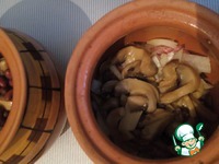 ������ � ��������� �����������