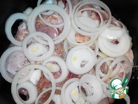 ���� � ������� �����������